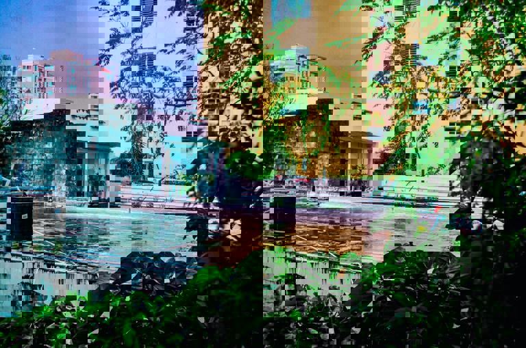 La tendencia de huertos urbanos en terrazas transforma el paisaje de las ciudades