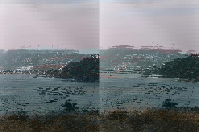 Microempresas pesqueras apuestan por tecnología para rastrear capturas y preservar recursos marinos